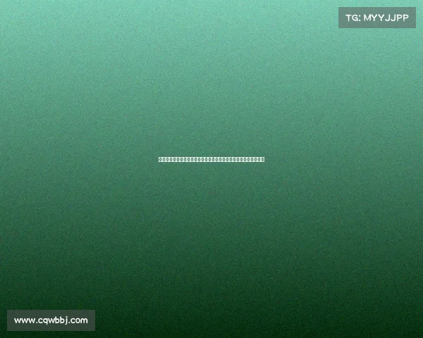 武术比赛赛制、武术赛事运营全面升级策划执行推广与优化实战指南