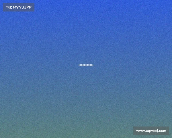 菲戈巅峰在哪个俱乐部